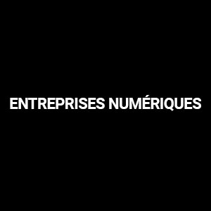 Entreprises Numériques