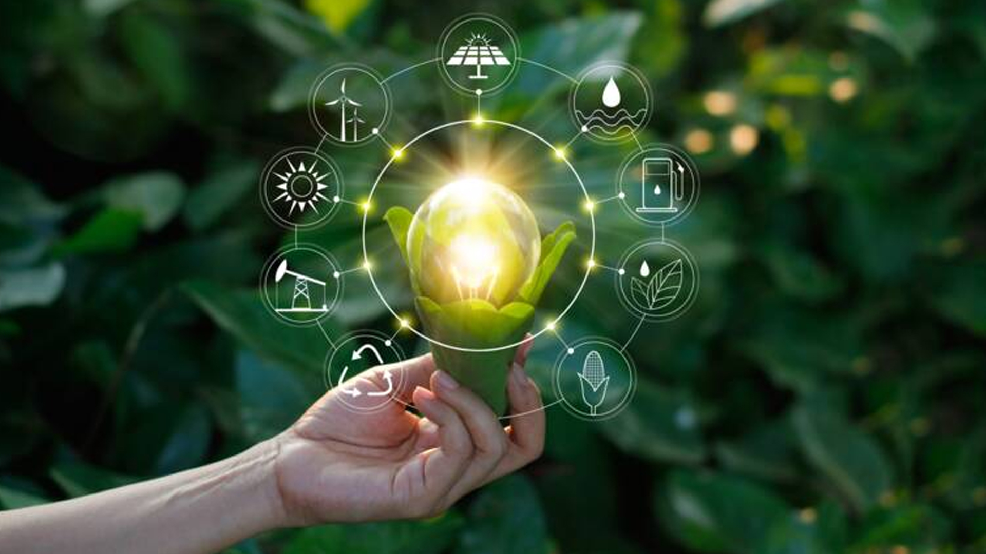 Flash sur 2022 – Green : le moteur de la transformation